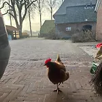 شقة Onder De Paardenkastanje *