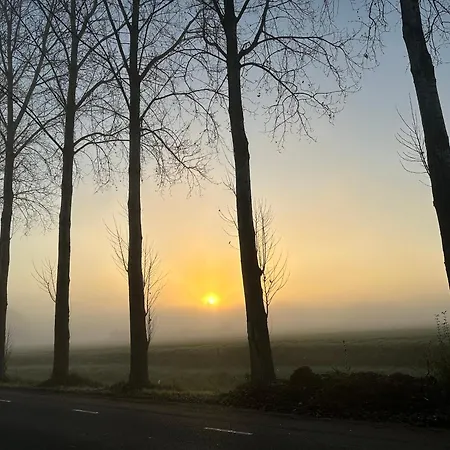 Onder De Paardenkastanje * Empe