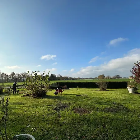 Onder De Paardenkastanje *