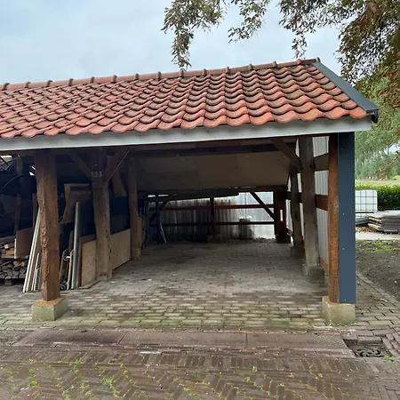 Onder De Paardenkastanje *