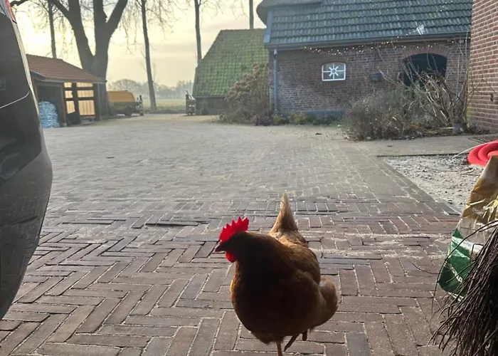 Διαμέρισμα Onder De Paardenkastanje *