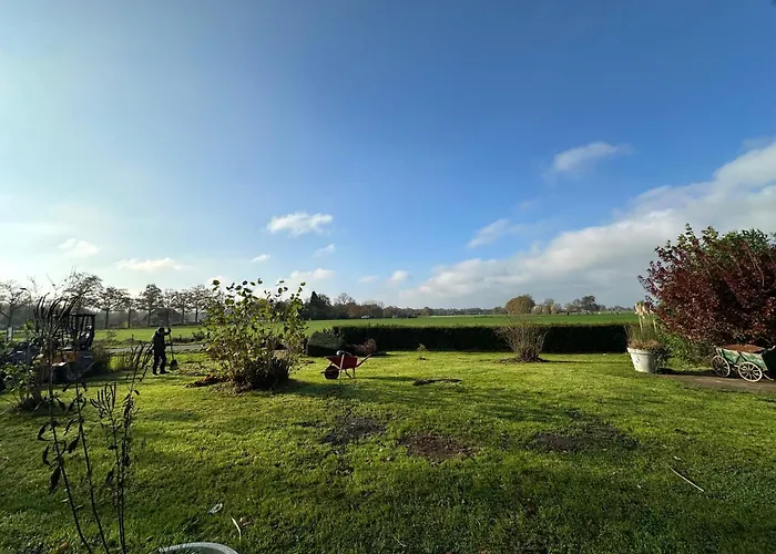 Onder De Paardenkastanje *