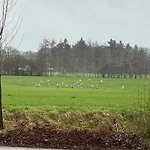 Onder De Paardenkastanje *