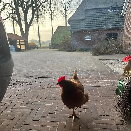 Apartment Onder De Paardenkastanje *