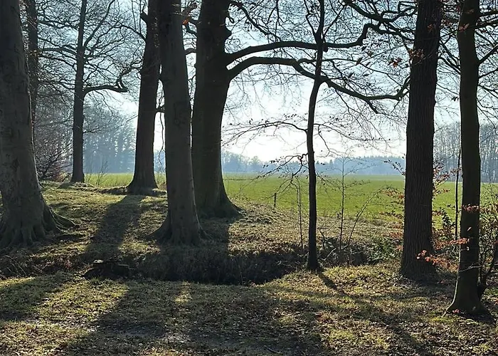 Onder De Paardenkastanje Lejlighed *