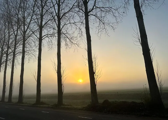 Onder De Paardenkastanje * Empe